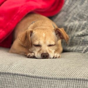 Meet your Posher, Michele